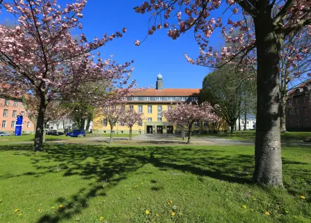 Campus Soest Maiblüten
