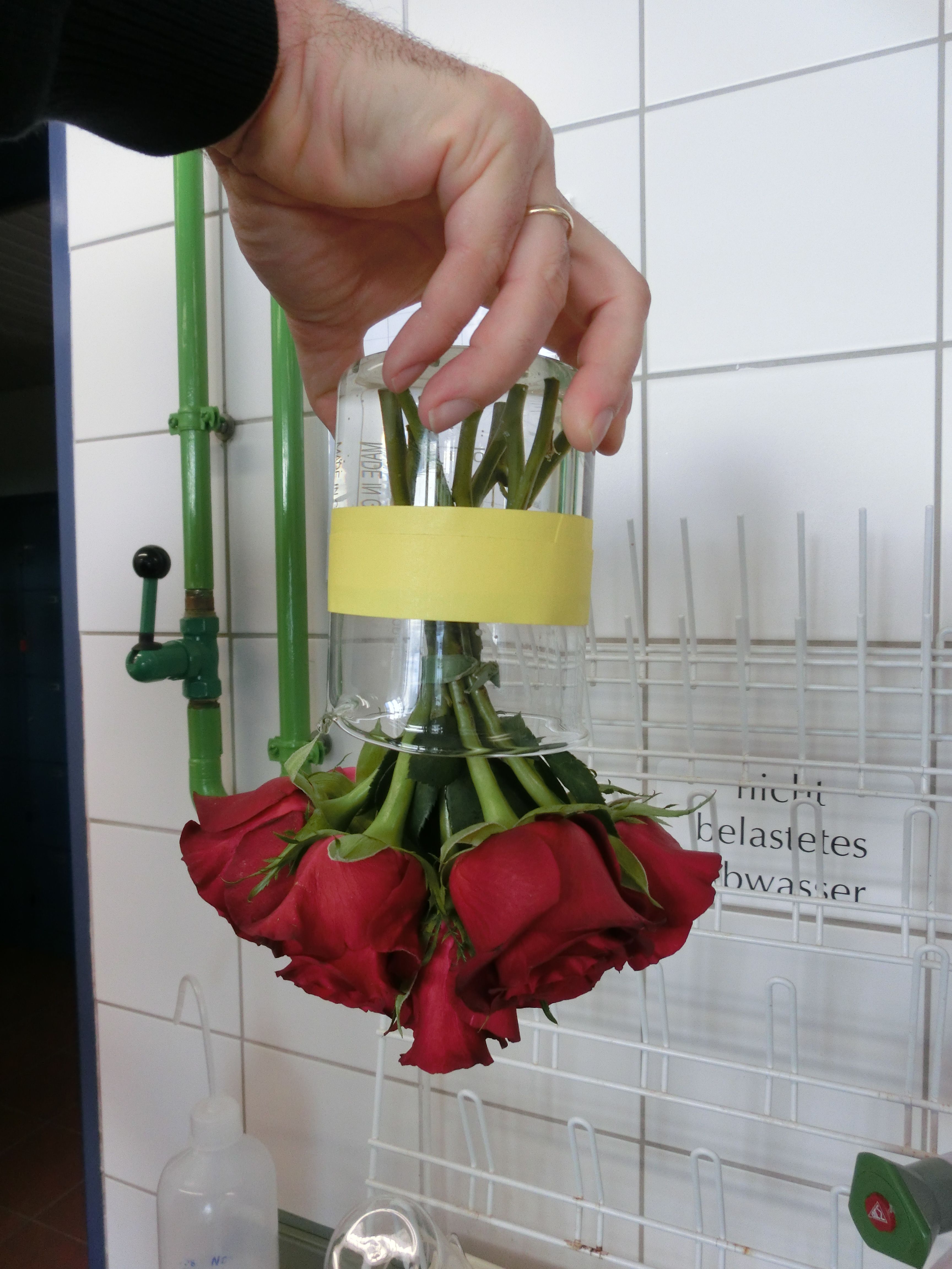 Blumenstrauß, der nach dem entwickelten Verfahren in einem Becherglas fixiert und über Kopf gehalten wird.