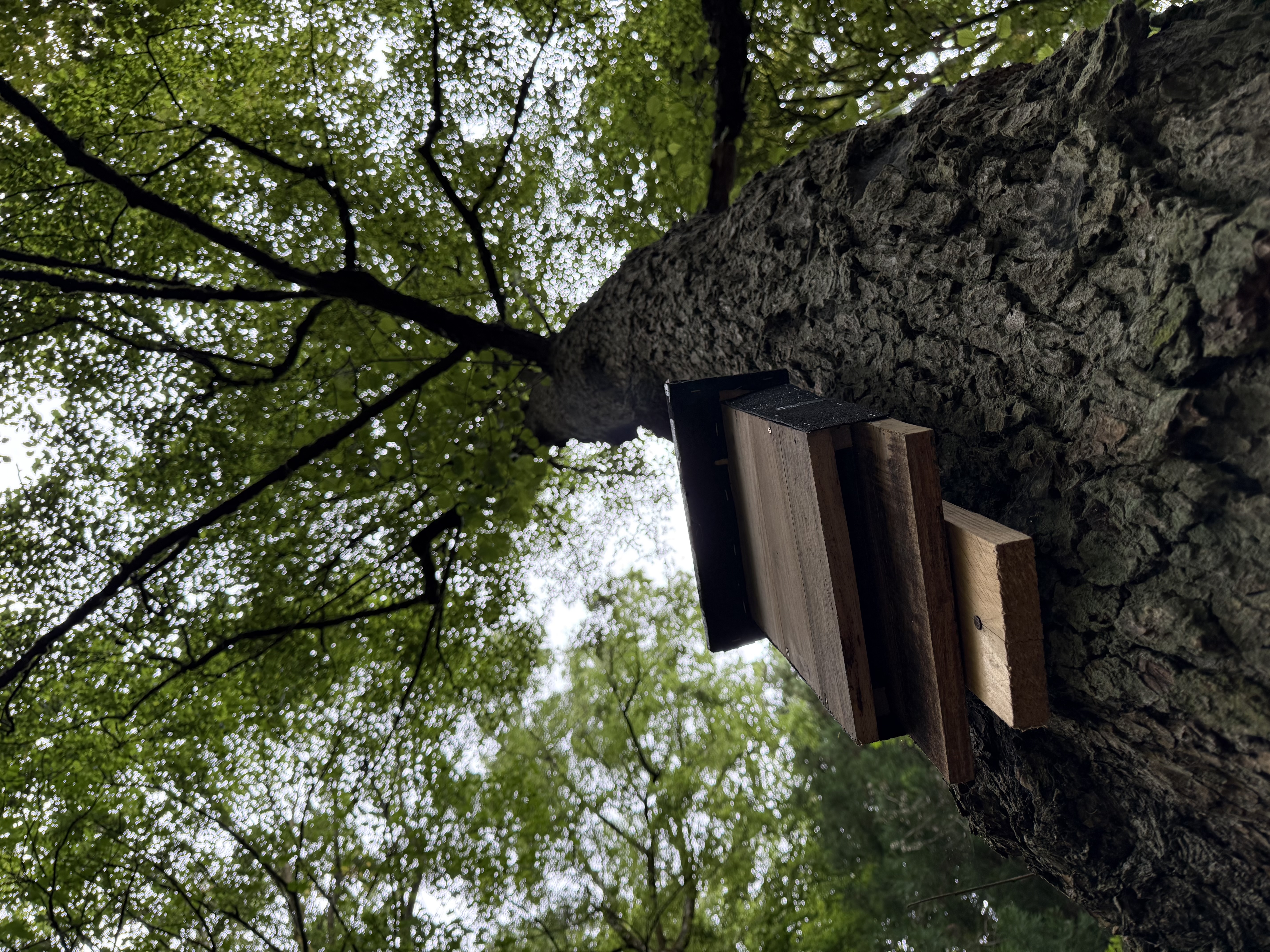 Die Nistkästen sind sehr schmal gebaut und nur von unten durch einen kleinen Spalt anzufliegen.