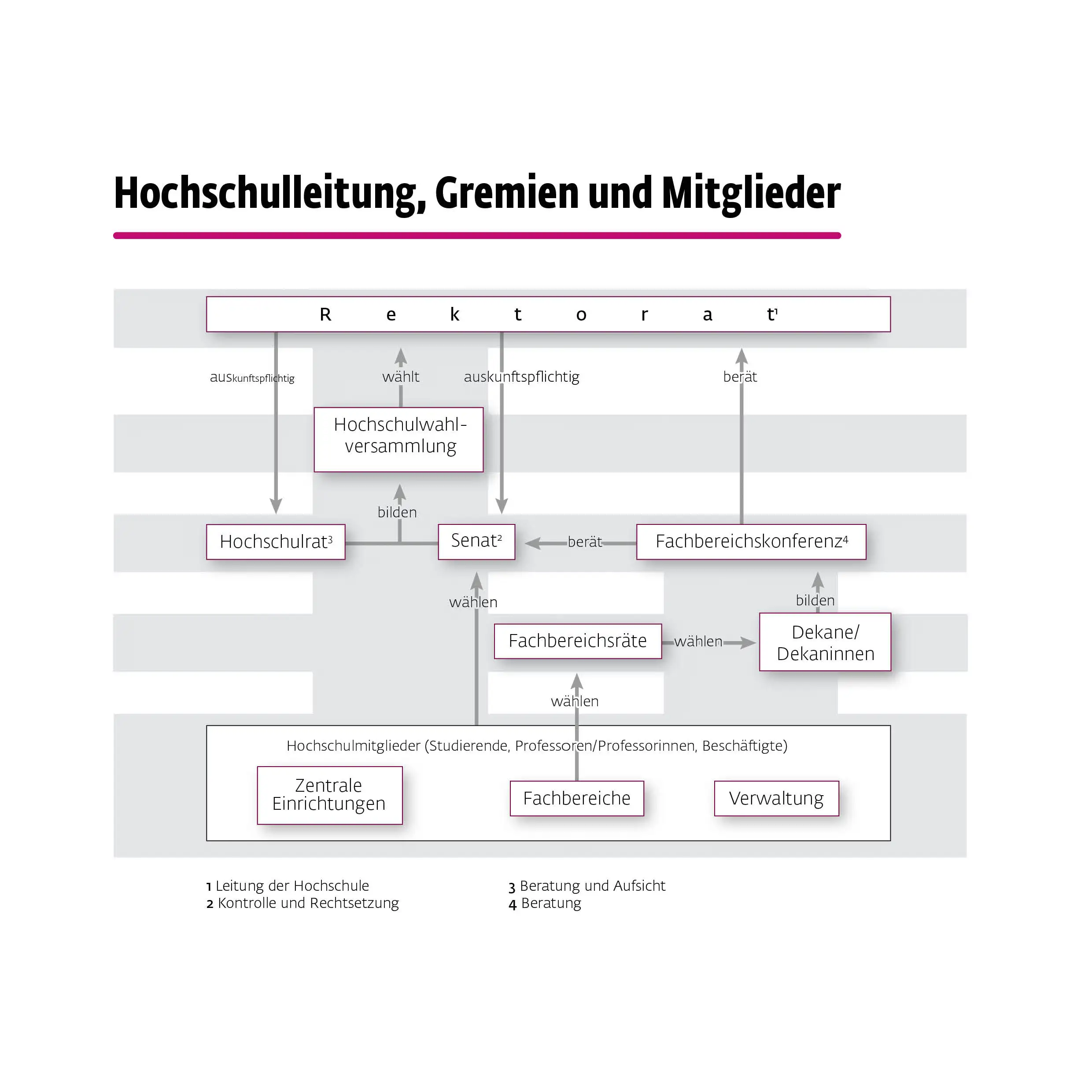 Hochschulleitung, Gremien und Mitglieder: Darstellung der Zusammenarbeit