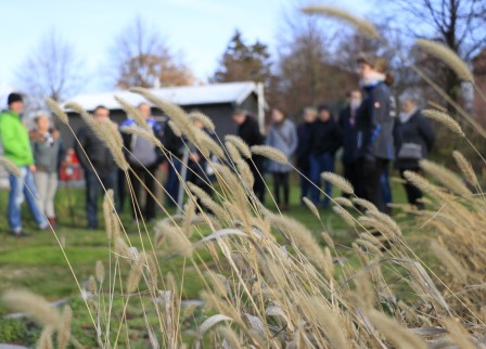 Im Vordergund sind Ähren zu sehen, unscharf im Hintergrund eine Gruppe von Personen, die im Halbkreis stehen.