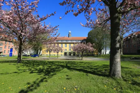 Campus Soest Maiblüten