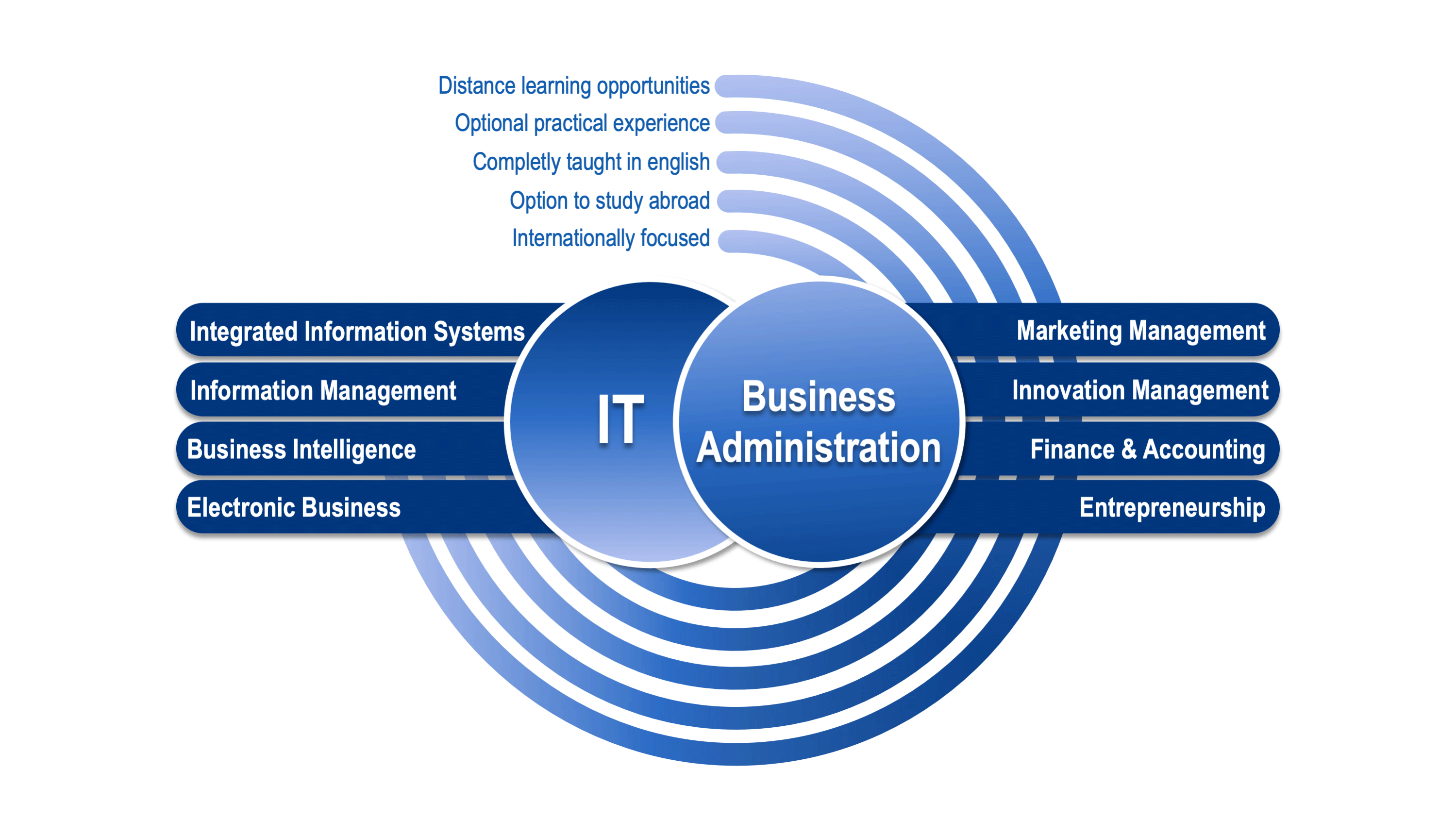 Different aspects flow together: Distance learning opportunities, Optional practical experience, Completly taught in english, Option to study abroad, internationally focused; Marketing Manamgent, Innovation Management, Finance & Accounting, Entrepreneurship; Integreated Information Systems, Information Management, Business Intelligence, Electronic Business.