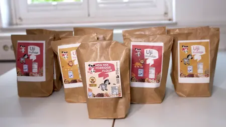 Auf einem Tisch stehen mehrere Porridge-Verpackungen mit unterschiedlich designten Labels in gelb oder rot, mit einem Zebra oder Löwen darauf.