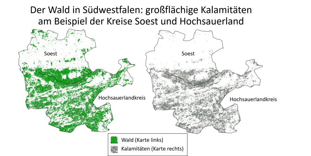 Karte von Soest und dem Hochsauerlandkreis mit farblicher Kennzeichnung des Waldes und der Kalamitäten.