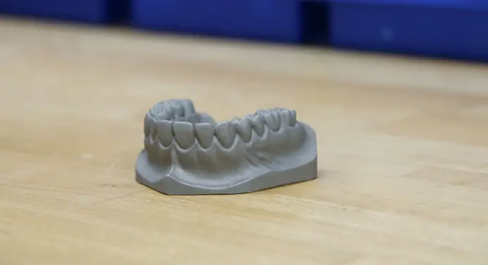 Ein Zahnmodell aus Edelstahl