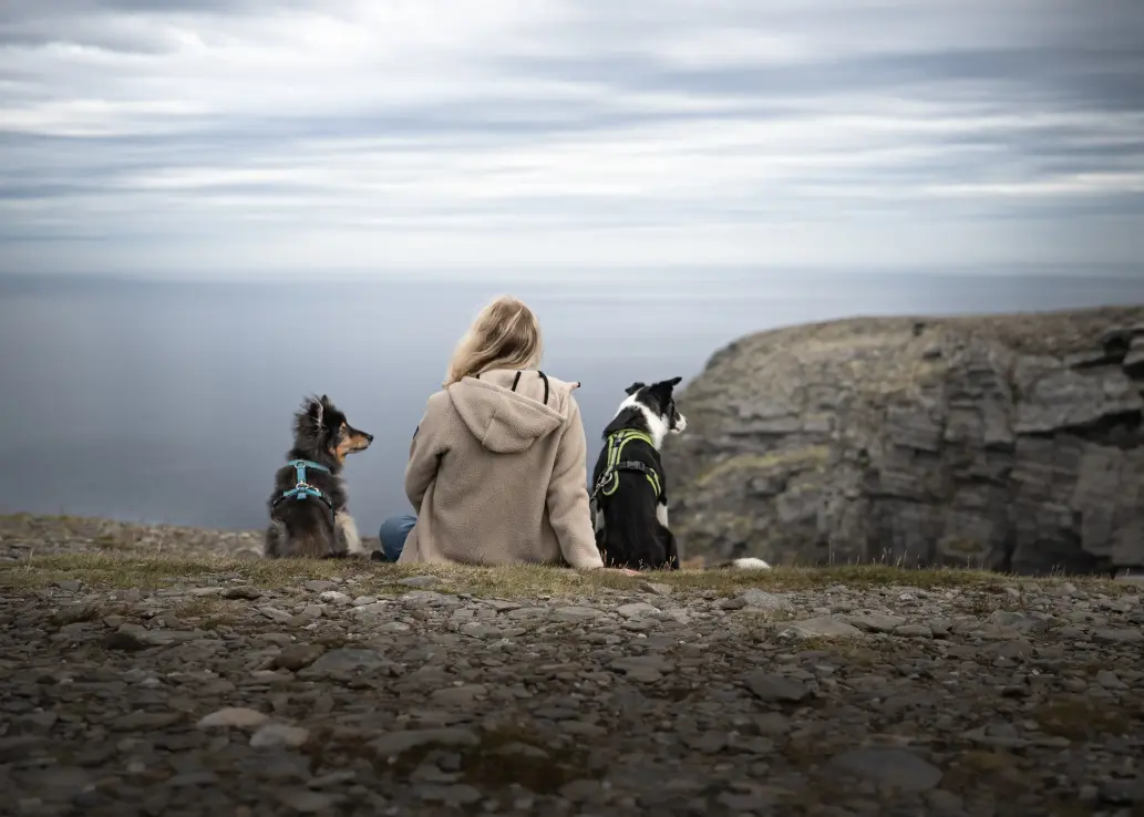 Eine Frau sitzt zwischen zwei Hunden und blickt auf's Meer.