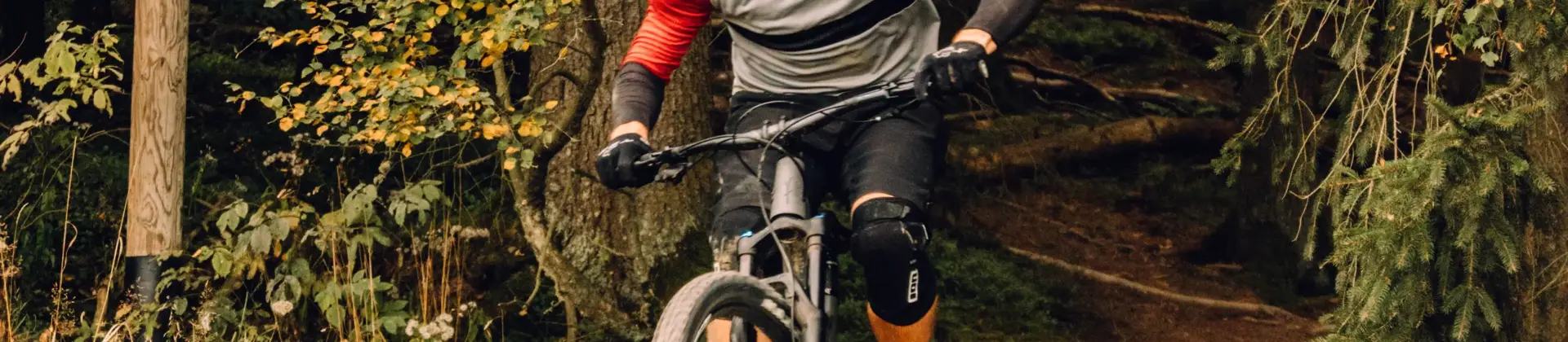 Biker im Wald