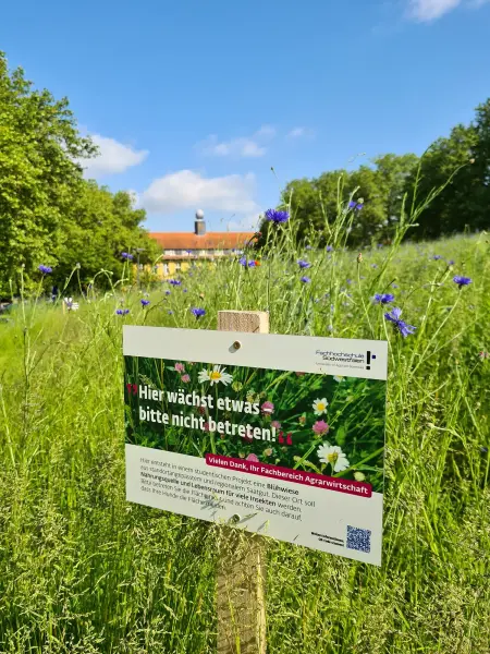 Schild mit der Aufschrift 