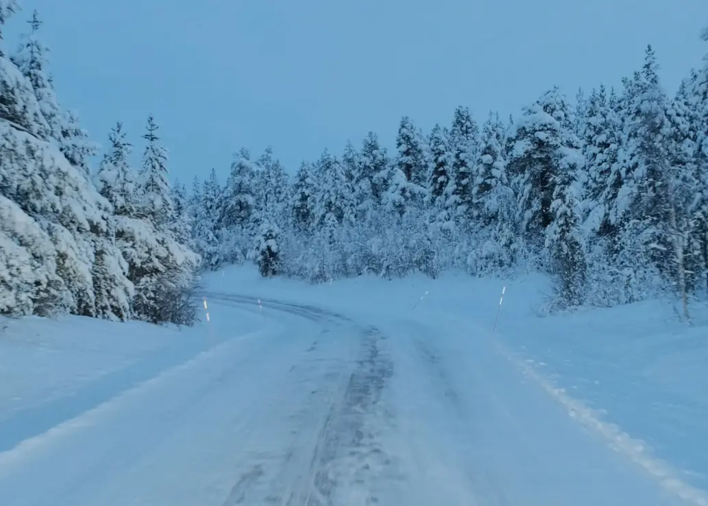 Eine verschneite Straße umrandet von vielen Tannen.