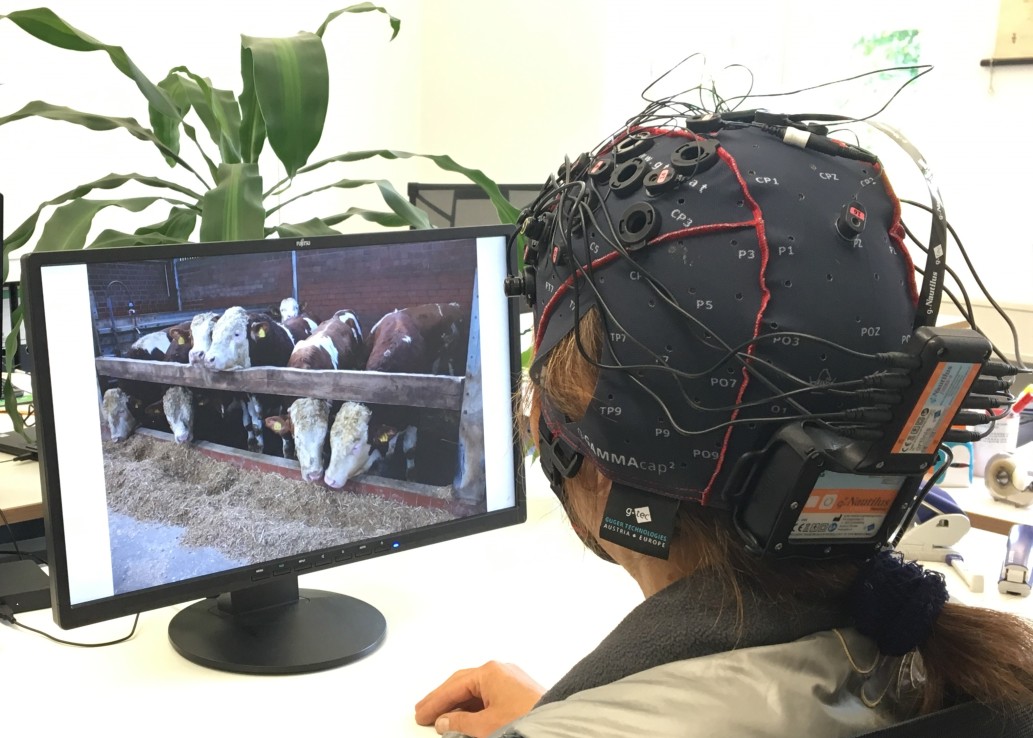 EEG Kopfhaube 