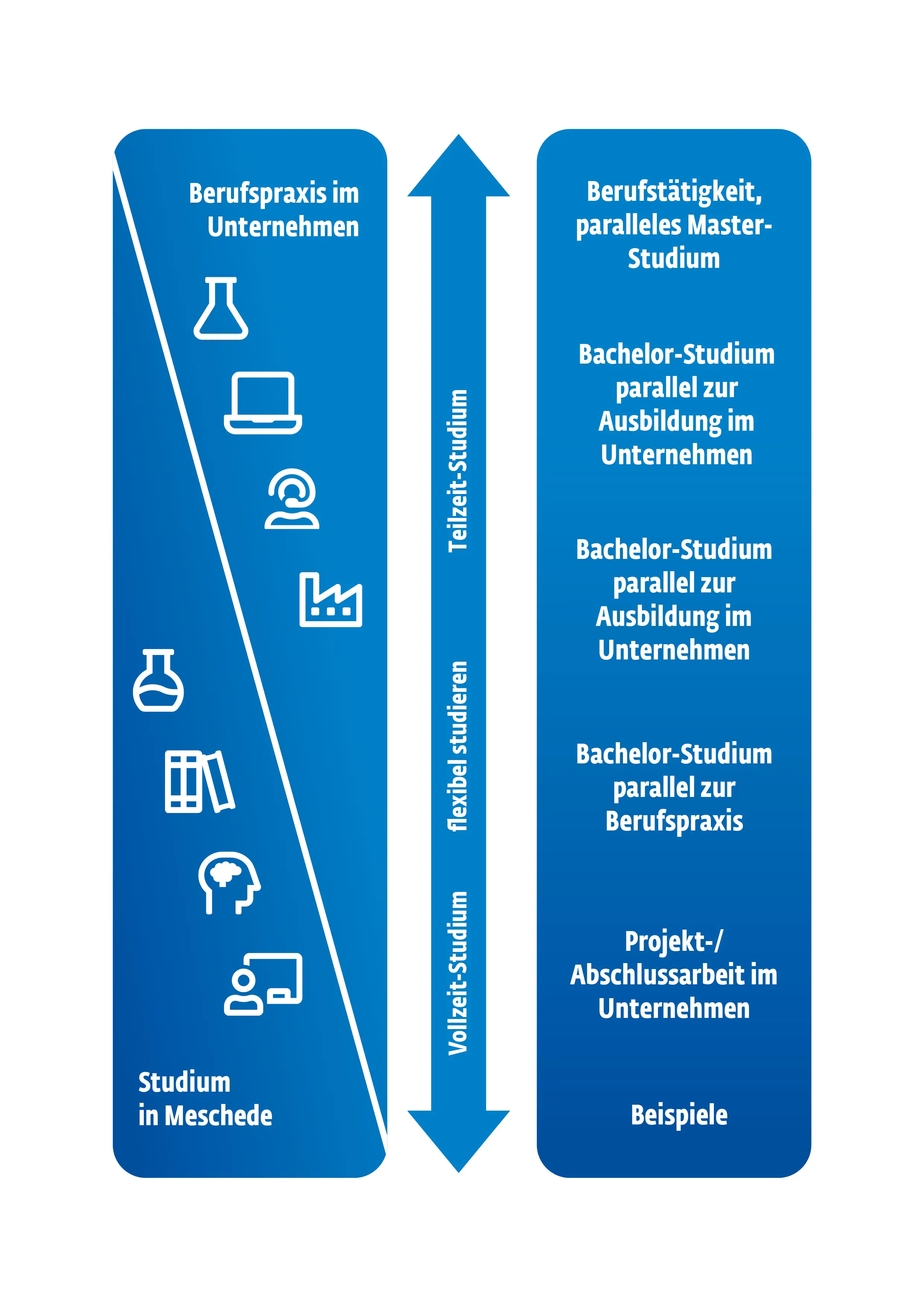 Die Grafik veranschaulicht verschiedene Möglichkeiten, Studium und Berufspraxis miteinander zu verbinden.
In der Mitte befindet sich ein großer, senkrechter Pfeil mit der Beschriftung „flexibel studieren“. Der Pfeil zeigt nach oben und unten und verdeutlicht den Übergang zwischen „Vollzeit-Studium“ im unteren Bereich und „Teilzeit-Studium“ im oberen Bereich.
Links ist ein keilförmiger Bereich mit der Überschrift „Berufspraxis im Unternehmen“. Dort sind verschiedene Symbole dargestellt, unter anderem für Laborarbeit, digitales Arbeiten, Kundenservice, Industrie, Forschung, Lernen, Denken und Lehre. Unten steht „Studium in Meschede“. Die Form verdeutlicht, dass die Berufspraxis im Unternehmen parallel zum Studium zunimmt beziehungsweise unterschiedlich stark ausgeprägt sein kann.
Rechts sind fünf Beispiele für die Verbindung von Studium und Berufspraxis aufgelistet – von unten nach oben zunehmend berufsbegleitend beziehungsweise teilzeitnah:
„Projekt-/Abschlussarbeit im Unternehmen“
„Berufspraxis durch Werkstudierendenjob oder Praktika“
„Bachelor-Studium parallel zur Berufspraxis“
„Bachelor-Studium parallel zur Ausbildung im Unternehmen“
Die Grafik vermittelt insgesamt, dass Studienmodelle in Meschede flexibel gestaltet werden können und sich unterschiedlich intensiv mit praktischer Tätigkeit in Unternehmen kombinieren lassen.